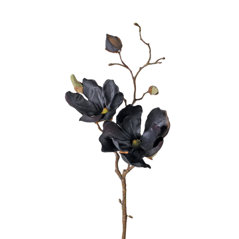 Black Magnolia Spray