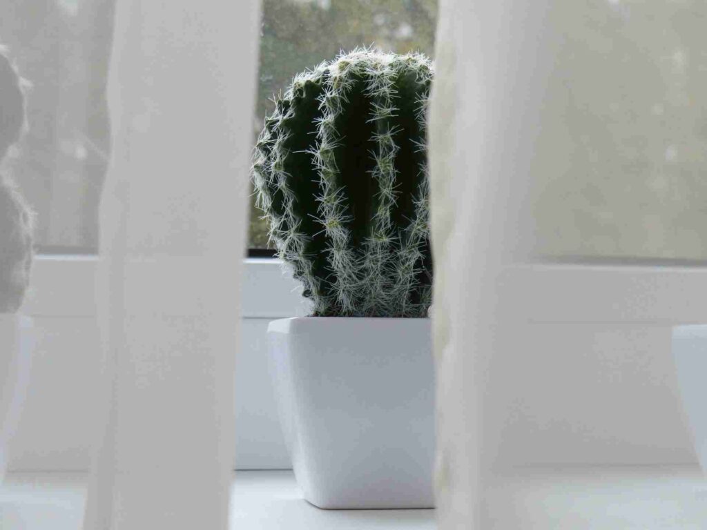Artificial flowers and plants