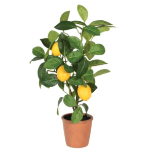Summer décor: 10 stylish pieces to bring the outdoors in summer décor as the long, golden afternoons of august begin to soften, there's a unique, peaceful energy in the air. This isn't about redecorating your entire house; it's about creating a beautiful indoor summer décor theme that captures that relaxed, sun-drenched feeling. It’s about creating a personal retreat that holds onto the light and warmth, a space where you can entertain friends or simply enjoy a brighter mood.