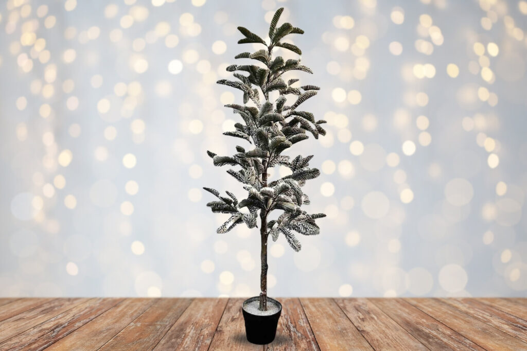 Quirky christmas gifts